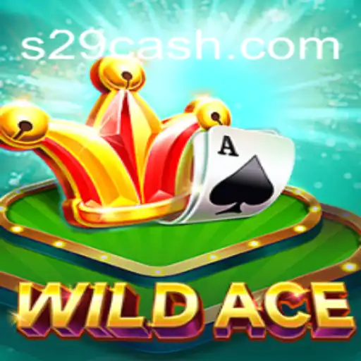Explorando o Mundo de WildAce: O Que é e Como Jogar